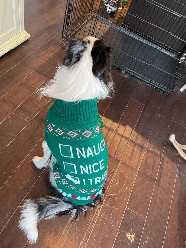 Merry Bright I Tried Ugly Sweater Dog Cat