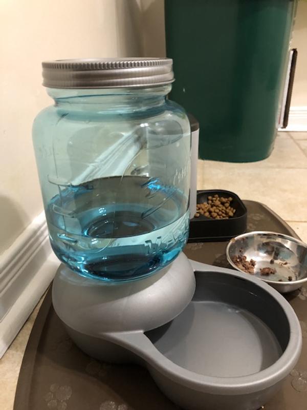 Petmate Mason Jar Replenishing Waterer