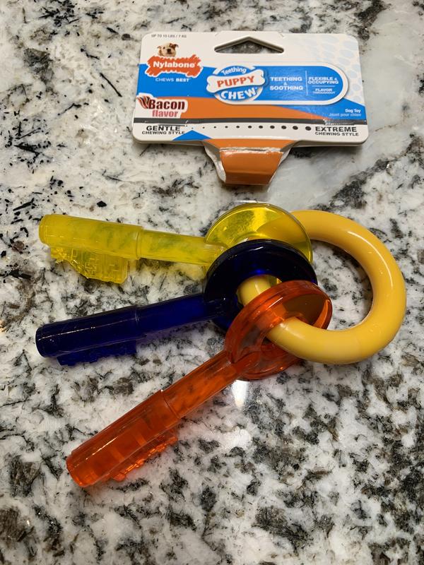 Dog chew keys hotsell