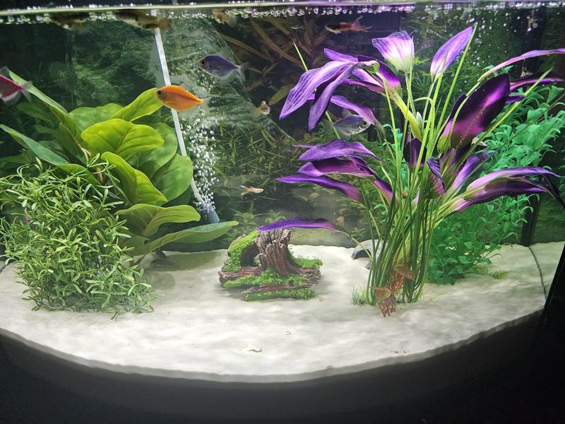 Top Fin® Artificial Silk Aquarium Plant - 18"