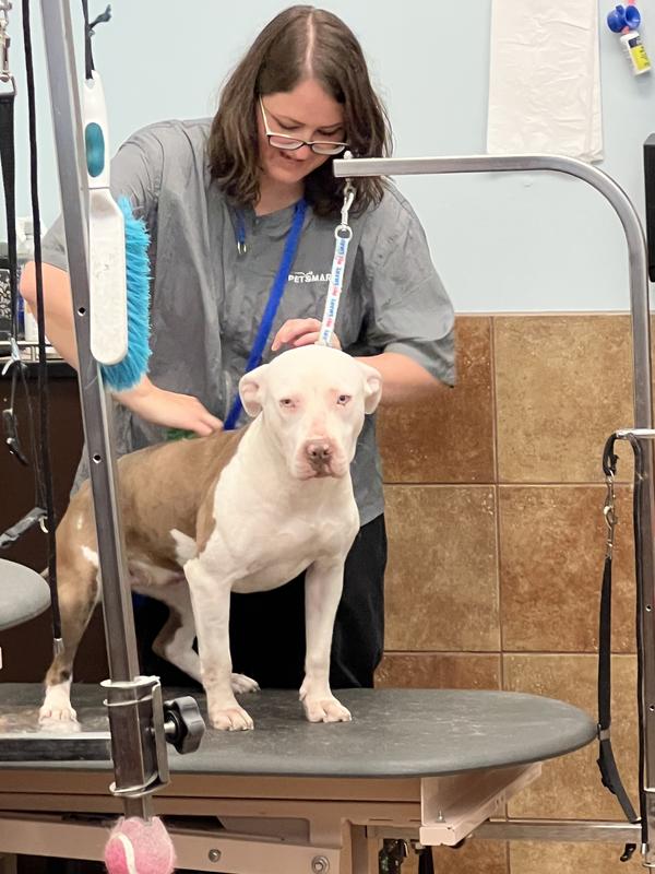 How Much Does Dog Grooming at Petsmart Cost: Uncover Prices