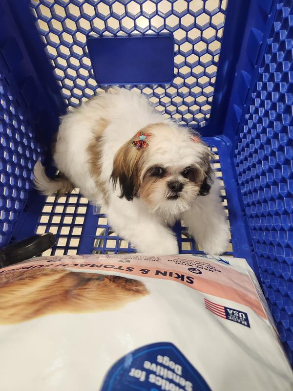 Petsmart grooming sale prices shih tzu