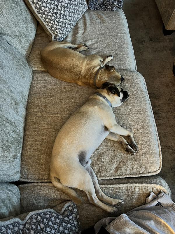 Only quiet when they’re sleeping!!