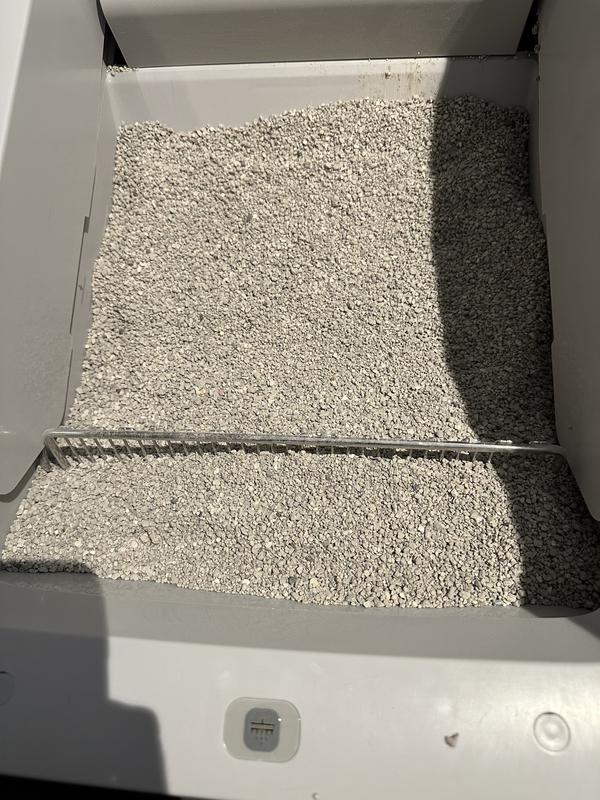 Review photo 2.