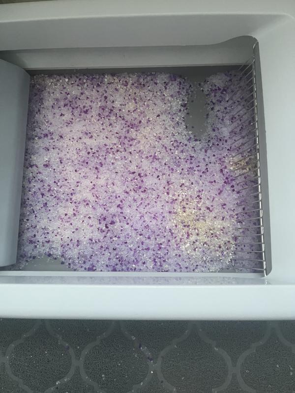 Lavender litter with mixed in cat pee.