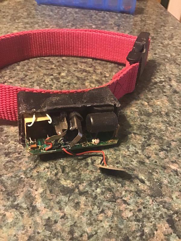 refurbished petsafe wireless fence