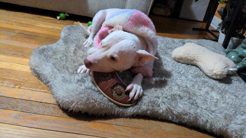 Amia loving her slab