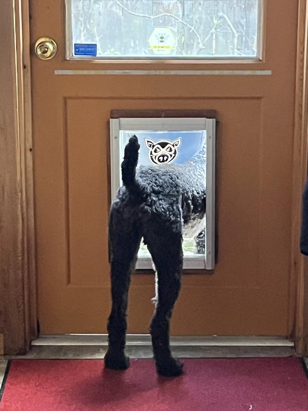 Just checking the conditions outside before committing to going out all the way!