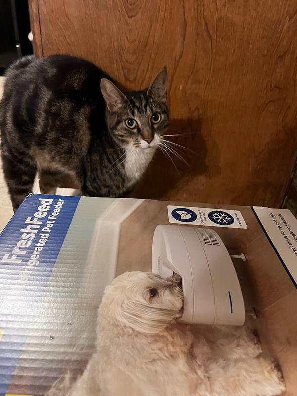 Review photo 2.