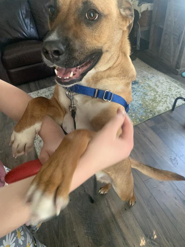 He’s so happy he won’t stand still for a good photo