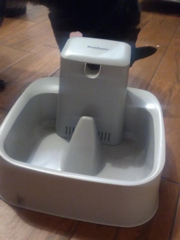 PetSafe Cat And Dog Water Fountain Replacement Pump