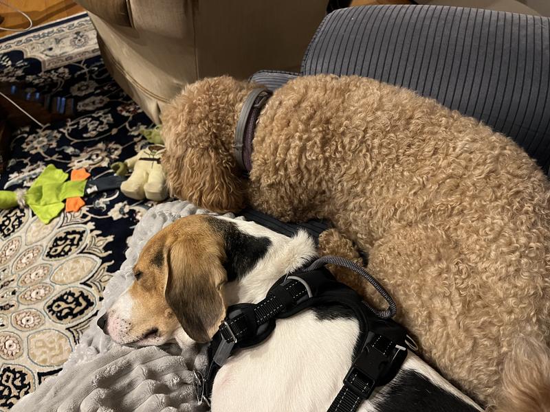 Review photo 3.
