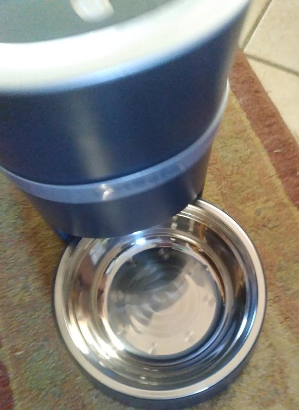 Image from review 2