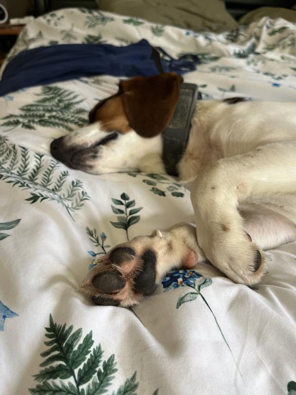 Review photo 2.
