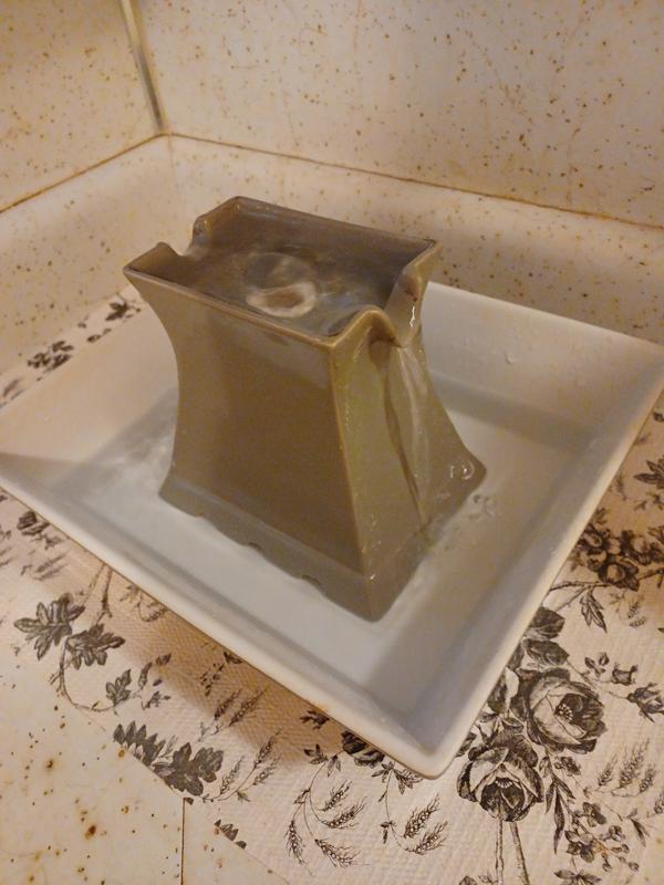 2018 Pagoda fountain, original pump, still great!