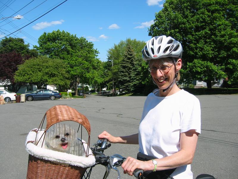 solvit wicker dog bicycle basket