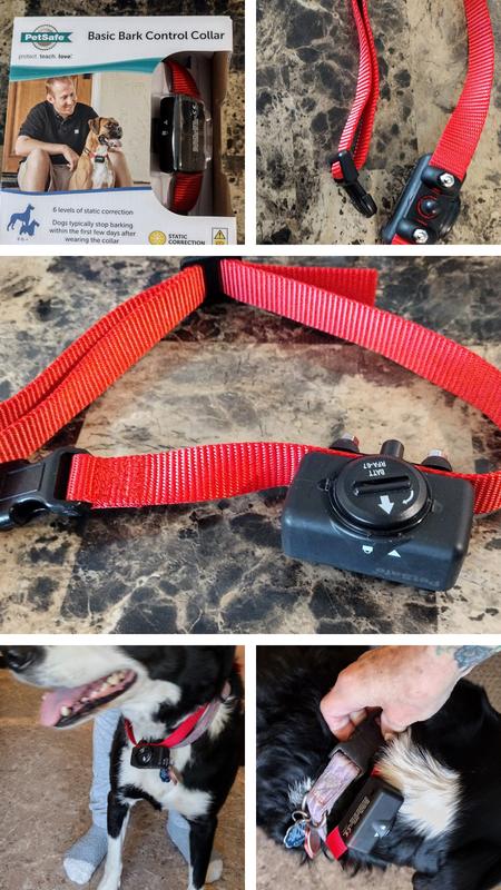 Basic bark control collar hot sale petsafe