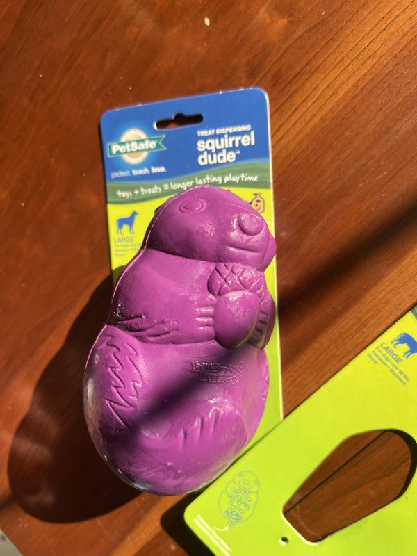 Squirrel dude outlet dog toy