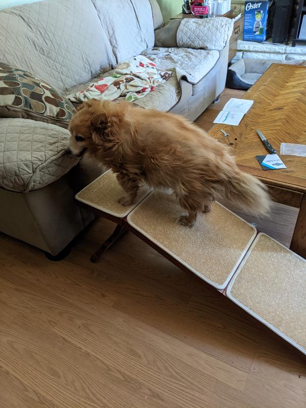 Foxy taking her spot