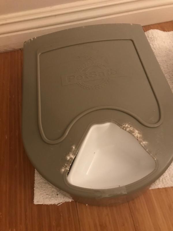 5 Meal Pet Feeder By Petsafe Pfd11 13707 In Pet Feeders