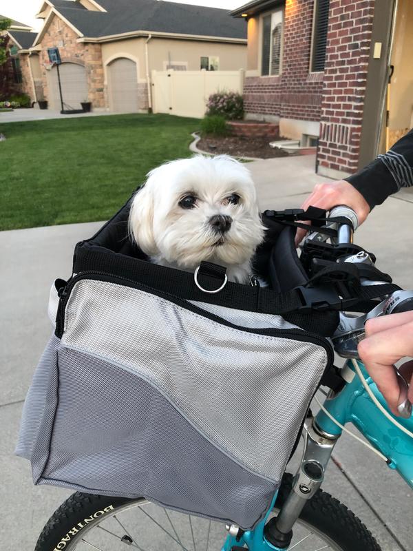 Small Animals Carriers Best for Dogs Up to 13 lb PetSafe Solvit