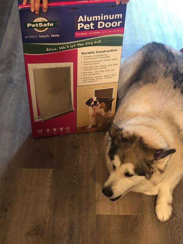 petsafe xl aluminum pet door