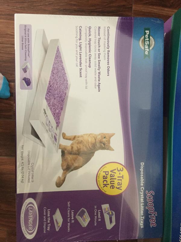 Scoopfree litter tray refills lavender sales