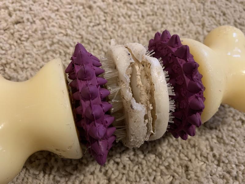 Busy Buddy Bristle Bone Dog Toy Small