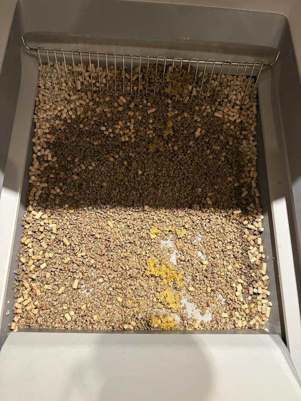 This was after 1 week (I had some old litter pellets left so I threw them in cause the smell was so bad! Got desperate!