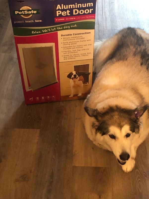 petsafe xl aluminum pet door