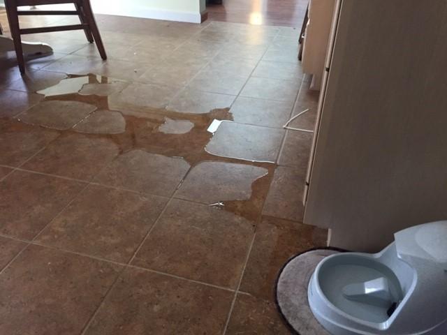 luckily reservoir volume wwas low