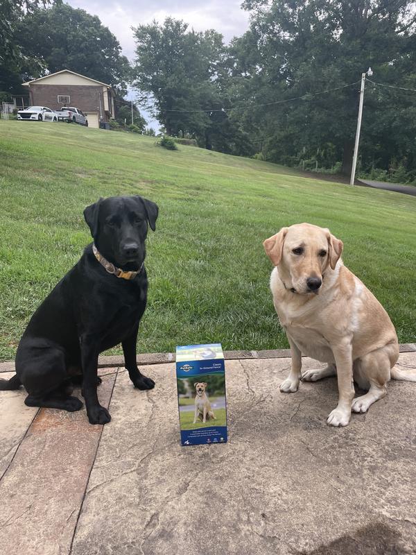 So excited to give them an area to run!
