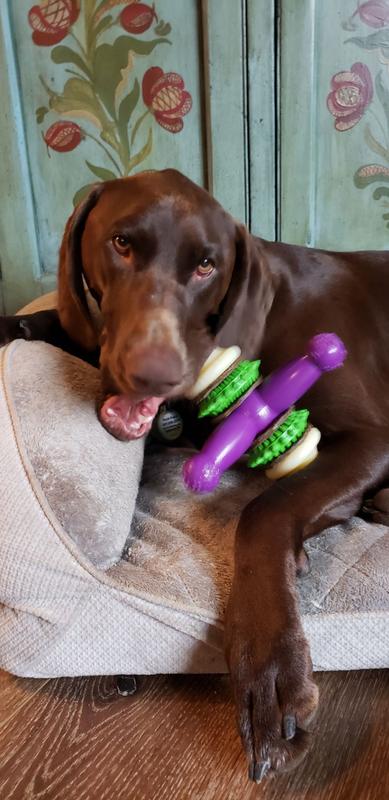 Rogue with size large