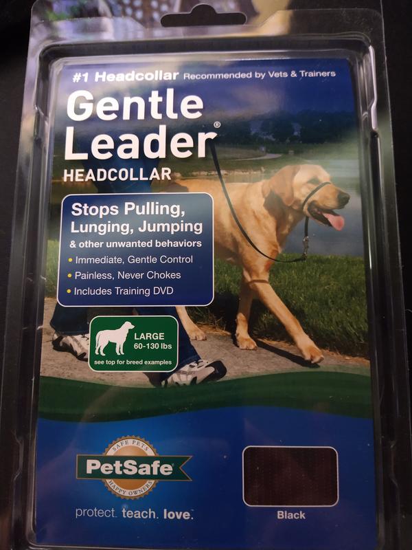 Gentle leader best sale headcollar reviews