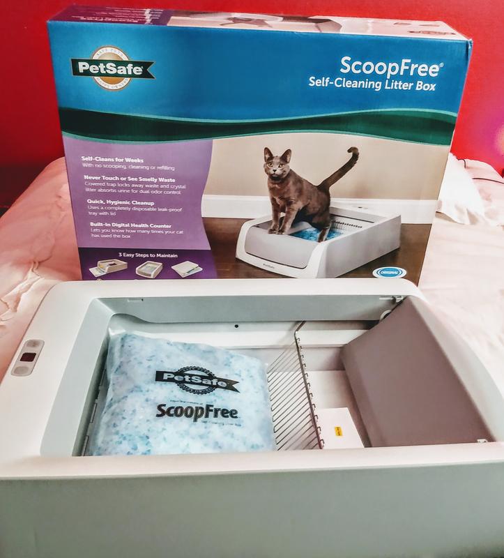 PetSafe self-cleaning litter box review: The budget option does