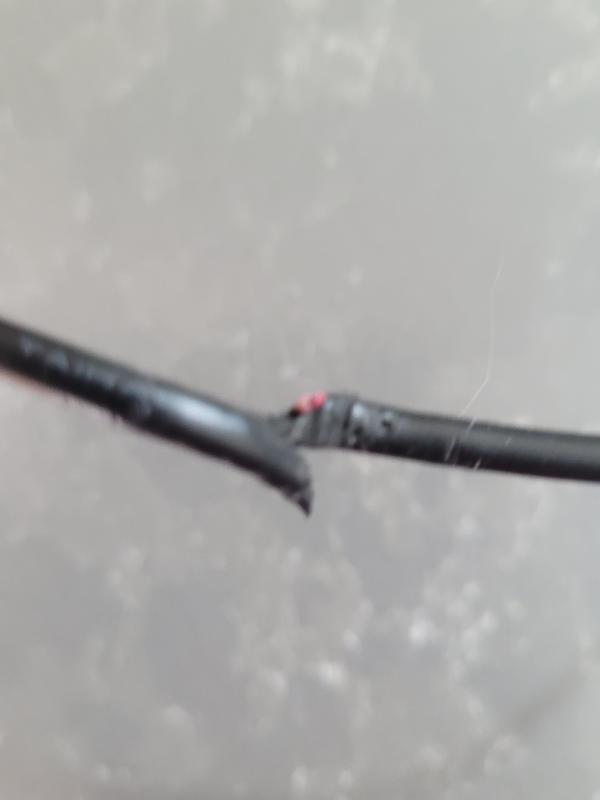 Chewn pump cord