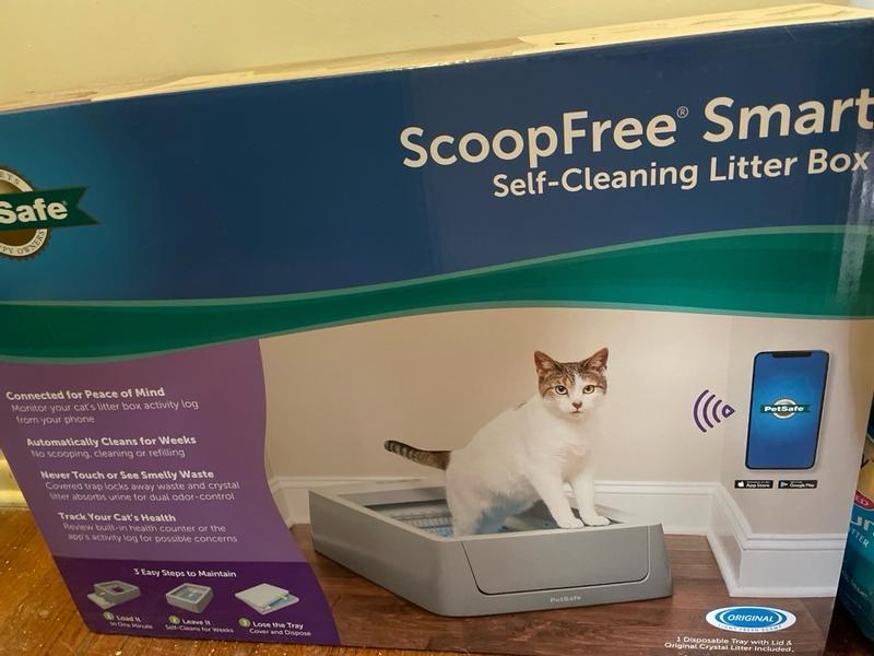 PetSafe ScoopFree Smart Self-Cleaning Litter Box - 37016807 | Blain's Farm  & Fleet