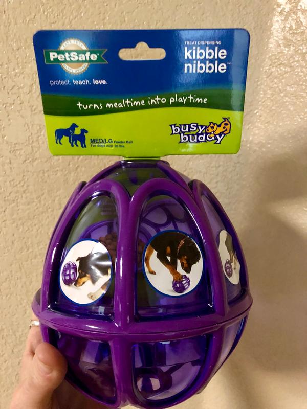 PetSafe Busy Buddy Kibble Nibble - Dog Toy - Treat and Food