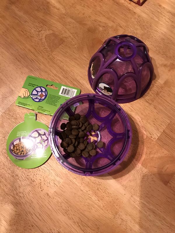 PetSafe Busy Buddy Kibble Nibble - Dog Toy - Treat and Food Dispenser -  Slow feeder