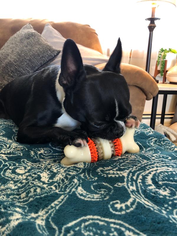 Willy and his buddy!