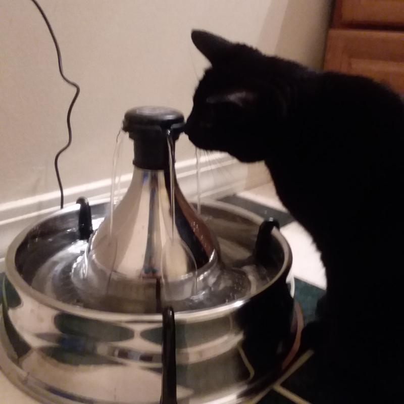 automatic laser light cat toy Applaws Tuna Fillet with Seaweed Wet Cat Food, 2.47 oz main image 0