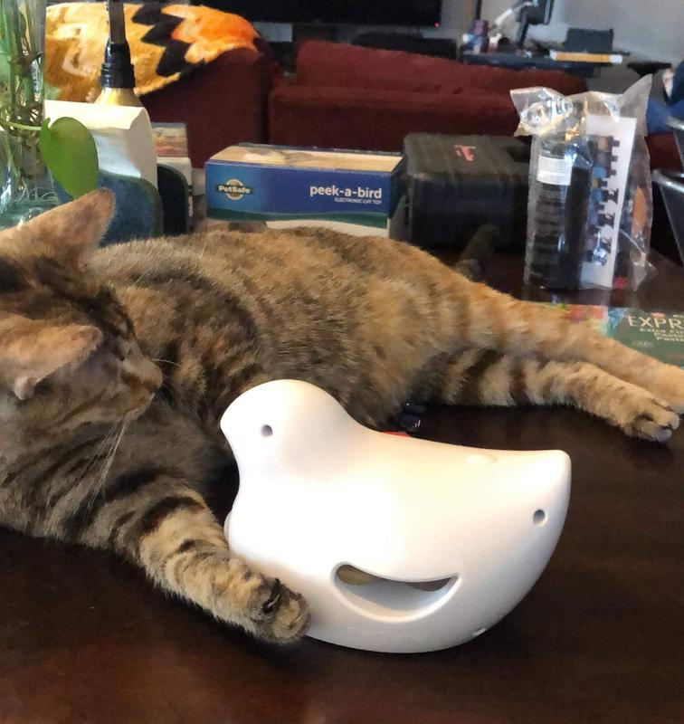 PETSAFE jouet électronique peek a bird pour chats