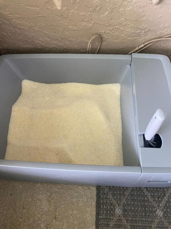 Multi-Cat Litter Box