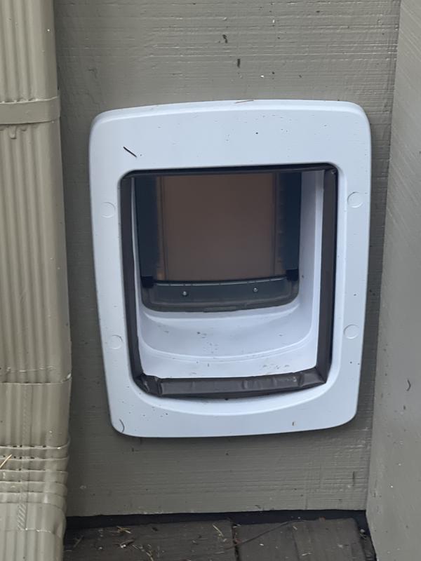 Under the eaves, protected and near human entrances