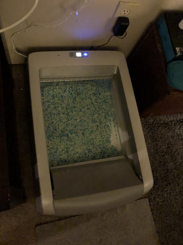 Blue crystal litter