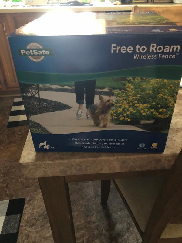 Petsafe free to 2024 roam wireless fence