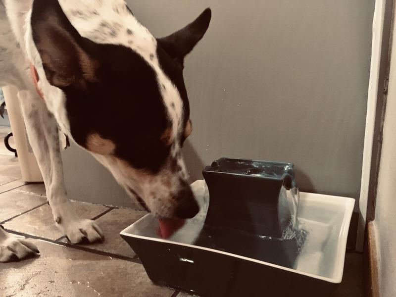 Sassy having a drink!