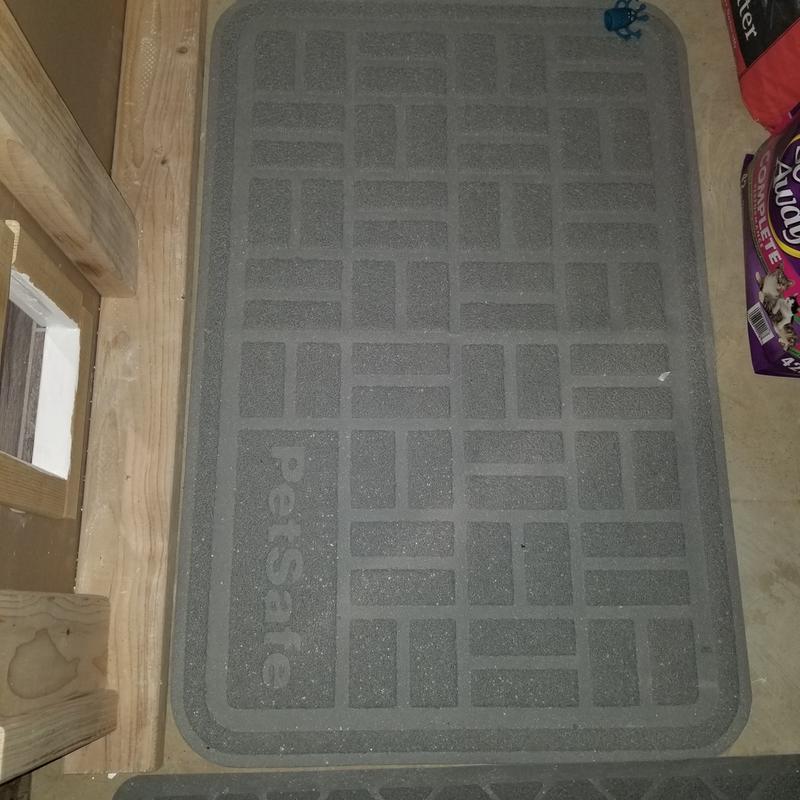 Right by the cats door so it doesnt track litter in and out.