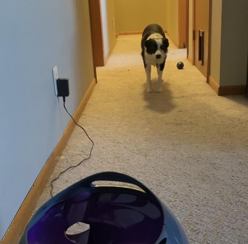 Wait for ball to launch!