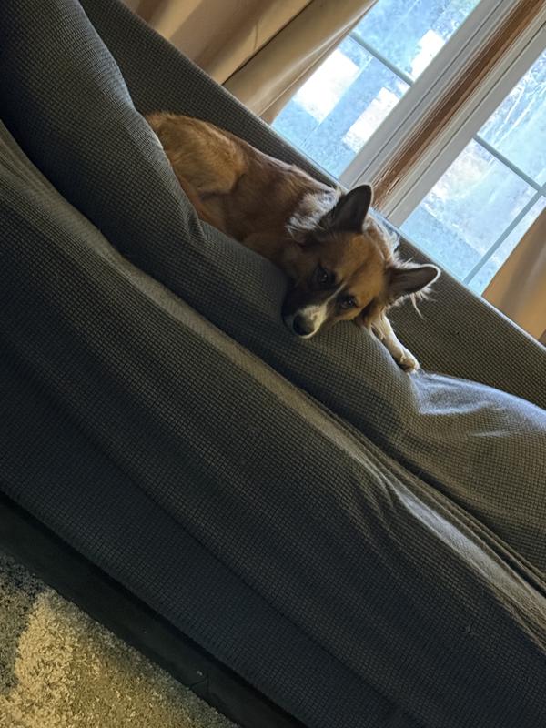 Photo one is the escape artist, and photo two is his partner in crime.